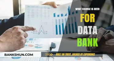 Essential Courses to Build and Manage a Robust Data Bank