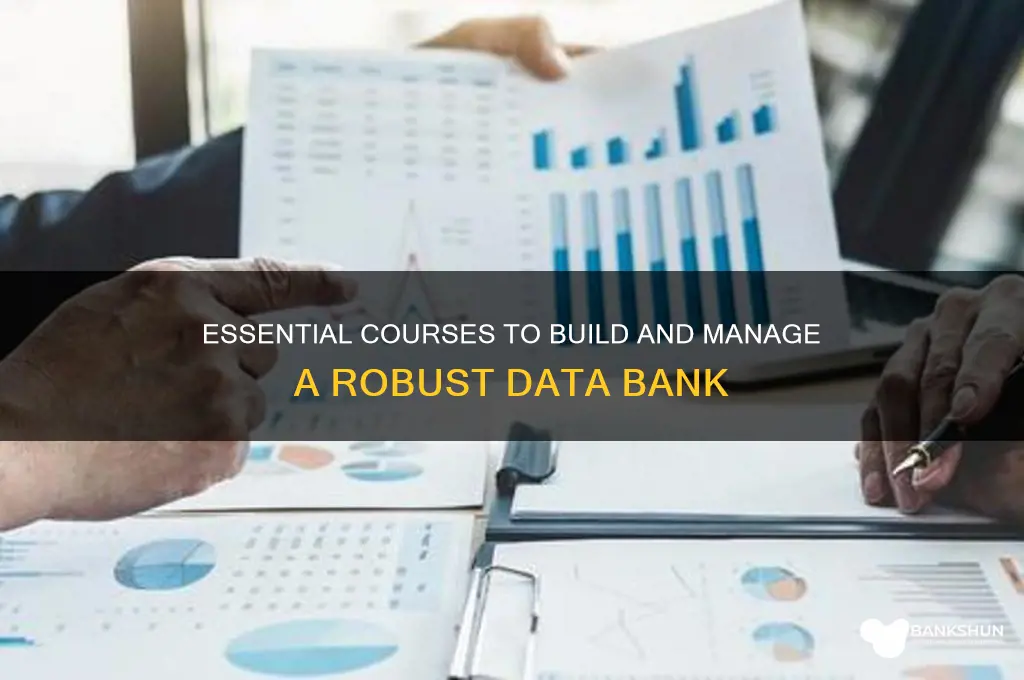 what course is need for data bank
