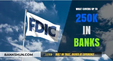 Understanding FDIC Insurance: Protecting Your Bank Deposits Up to $250,000
