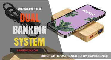 Origins of the US Dual Banking System: A Historical Overview