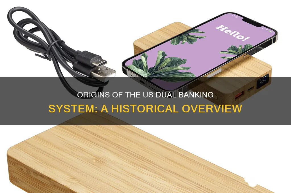 what created the us dual banking system