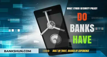 Banking on Safety: Exploring Cyber Security Policies in Financial Institutions
