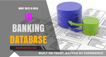 Understanding Banking Databases: Key Data Stored in Financial Systems