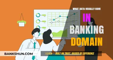 Exploring Essential Data Types in the Banking Domain