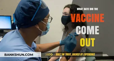 When Did the COVID-19 Vaccine Become Available Globally?