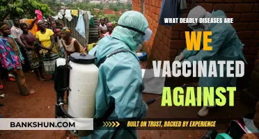 Deadly Diseases Defeated: Vaccines Saving Lives Globally