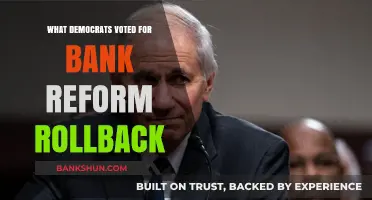 Democrats' Surprising Vote: Bank Reform Rollback Explained and Analyzed