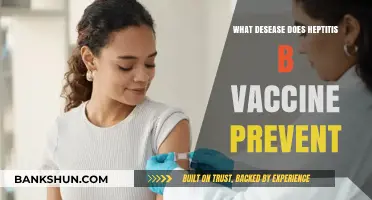Hepatitis B Vaccine: Shielding Against Chronic Liver Disease and Cancer