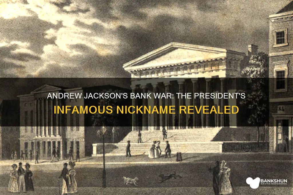what did andrew jackson call the bank