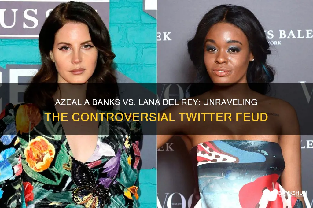 what did azealia banks say to lana