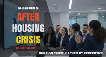 Post-Housing Crisis: How Banks Adapted and Recovered Strategies