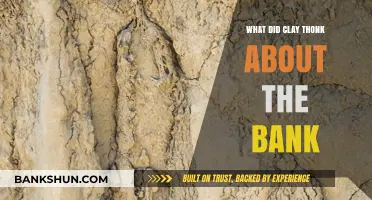 Clay's Thoughts on the Bank: A Deep Dive into His Perspective