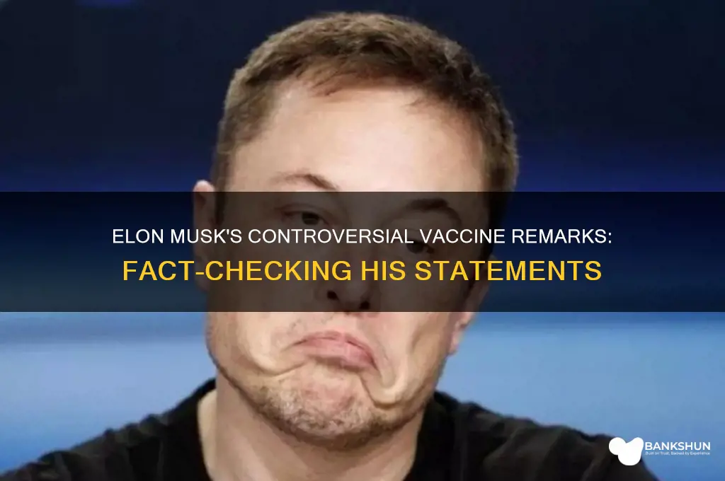 what did elon musk say about vaccines