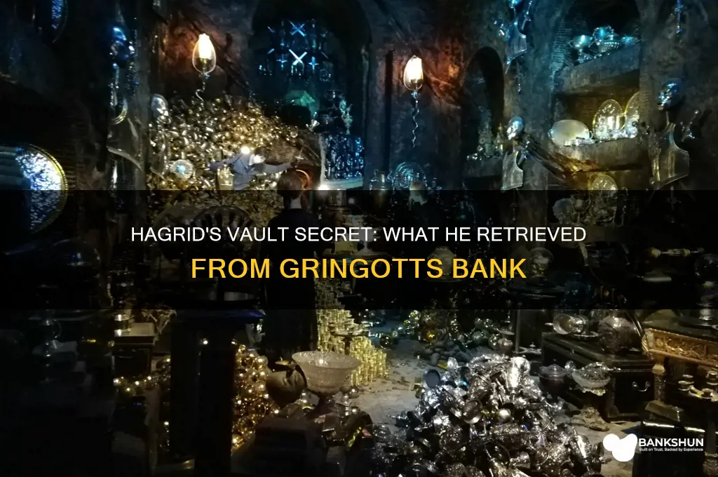 what did hagrid take from the bank