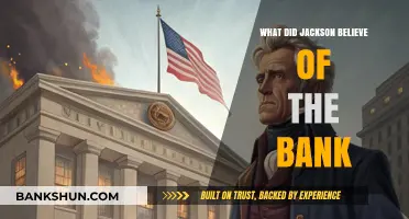 Jackson's Beliefs: The National Bank's Role and His Opposition