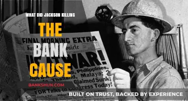 Jackson's Bank War: Economic Consequences of Dismantling the Second Bank