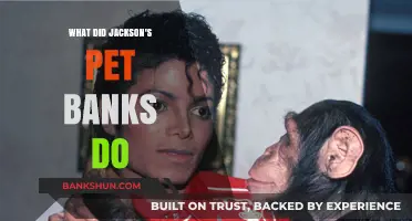 Jackson's Pet Banks: Their Role and Impact on U.S. Economy