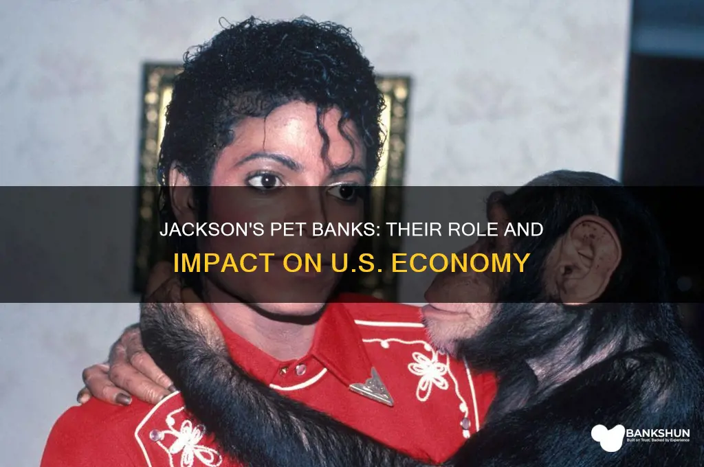 what did jackson