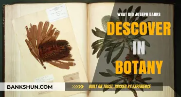 Joseph Banks' Botanical Discoveries: Unveiling Nature's Secrets on Historic Voyages
