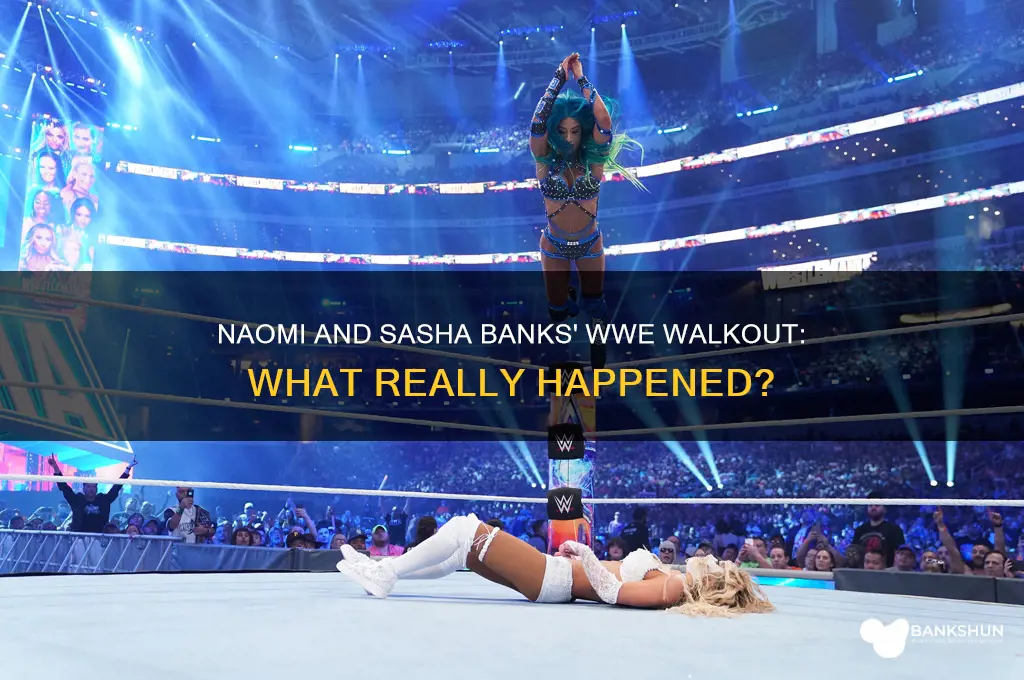 what did naomi and sasha banks do