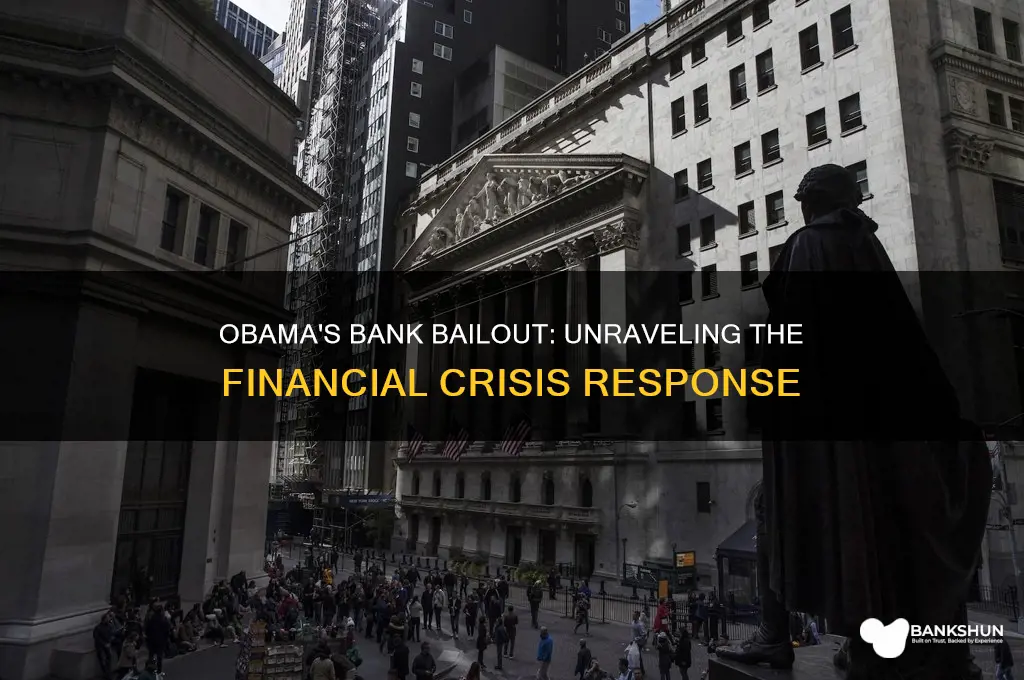 what did obama do to bailout banks