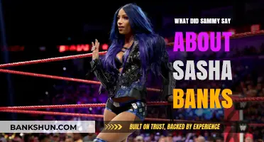 Sammy's Candid Remarks on Sasha Banks: Unveiling the Truth