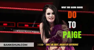 Sasha Banks vs. Paige: Unraveling the WWE Backstage Incident