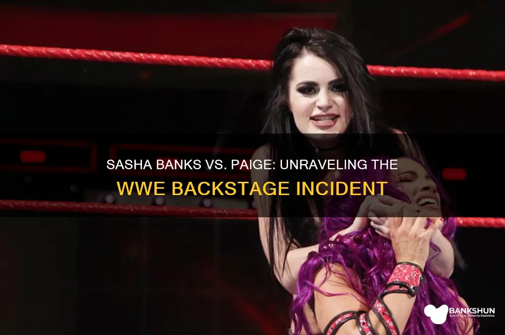 what did sasha banks do to paige