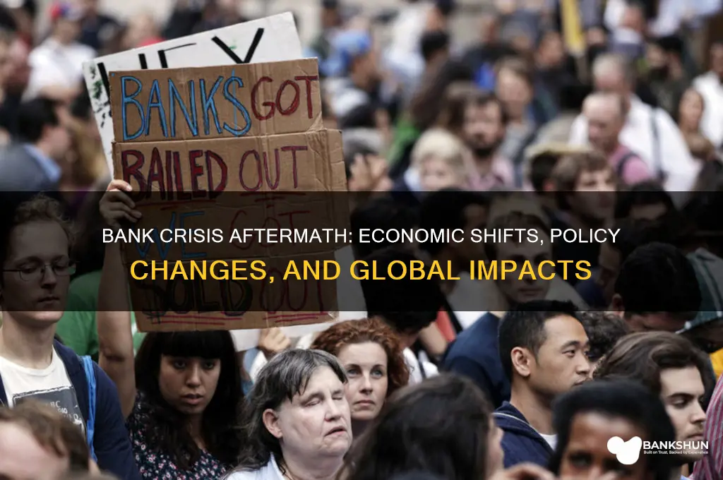 what did the bank crisis lead to