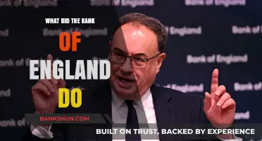 Bank of England's Recent Actions: A Comprehensive Overview