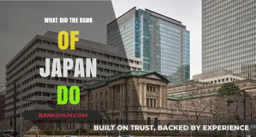 Bank of Japan's Recent Policy Moves: What Did They Do?