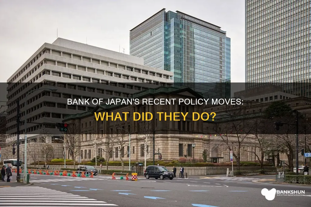 what did the bank of japan do