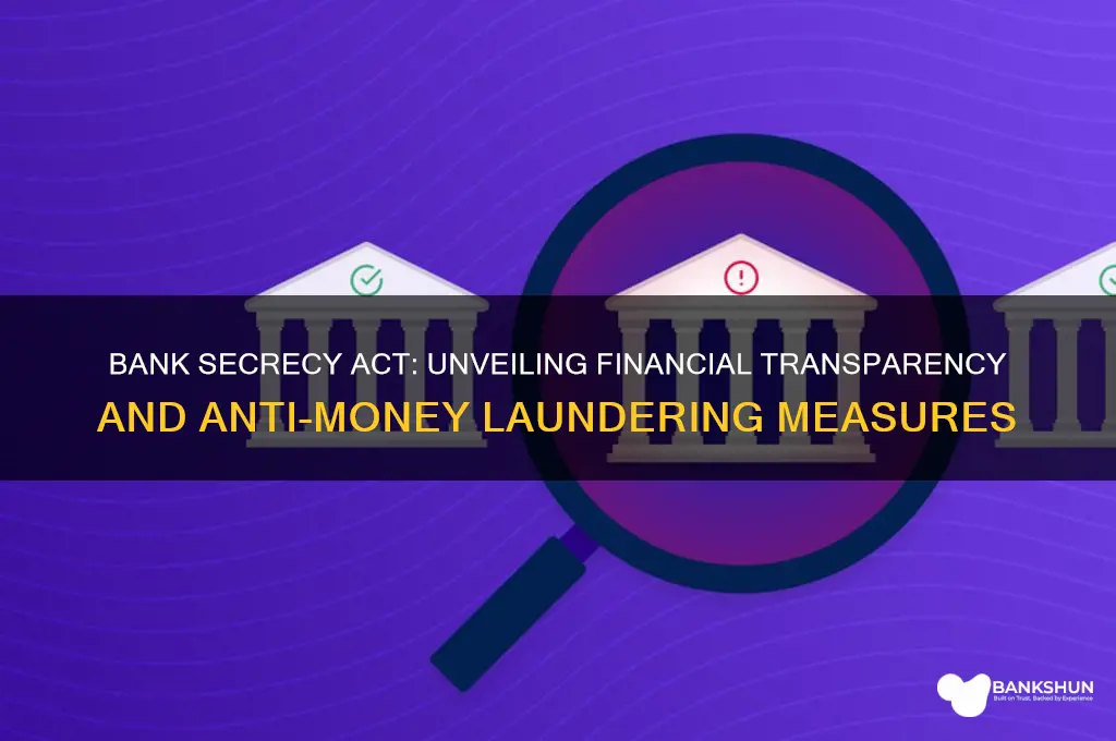 what did the bank secrecy act establish