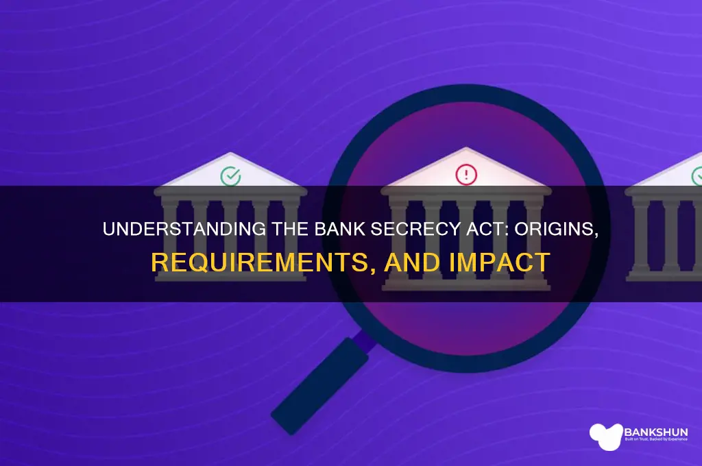 what did the bank sercrecy act establish