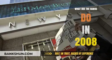 The 2008 Financial Crisis: How Banks Triggered Global Collapse