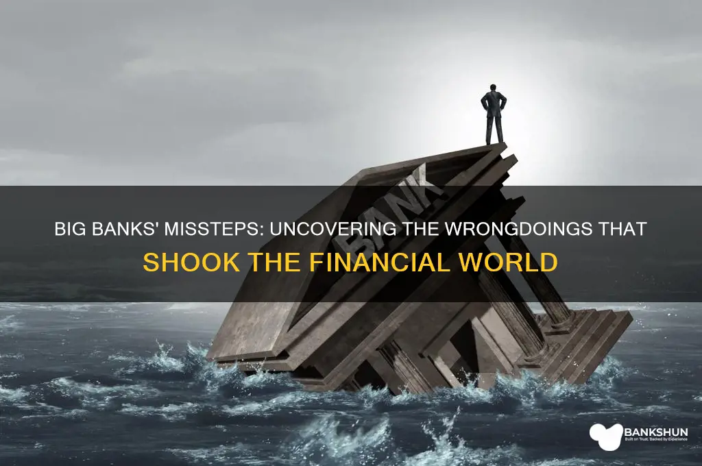 what did the big banks do wrong