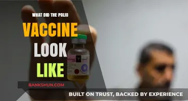 Unveiling the Polio Vaccine: Its Appearance and Historical Impact