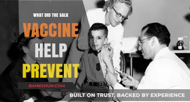 How the Salk Vaccine Eradicated Polio: A Historical Breakthrough