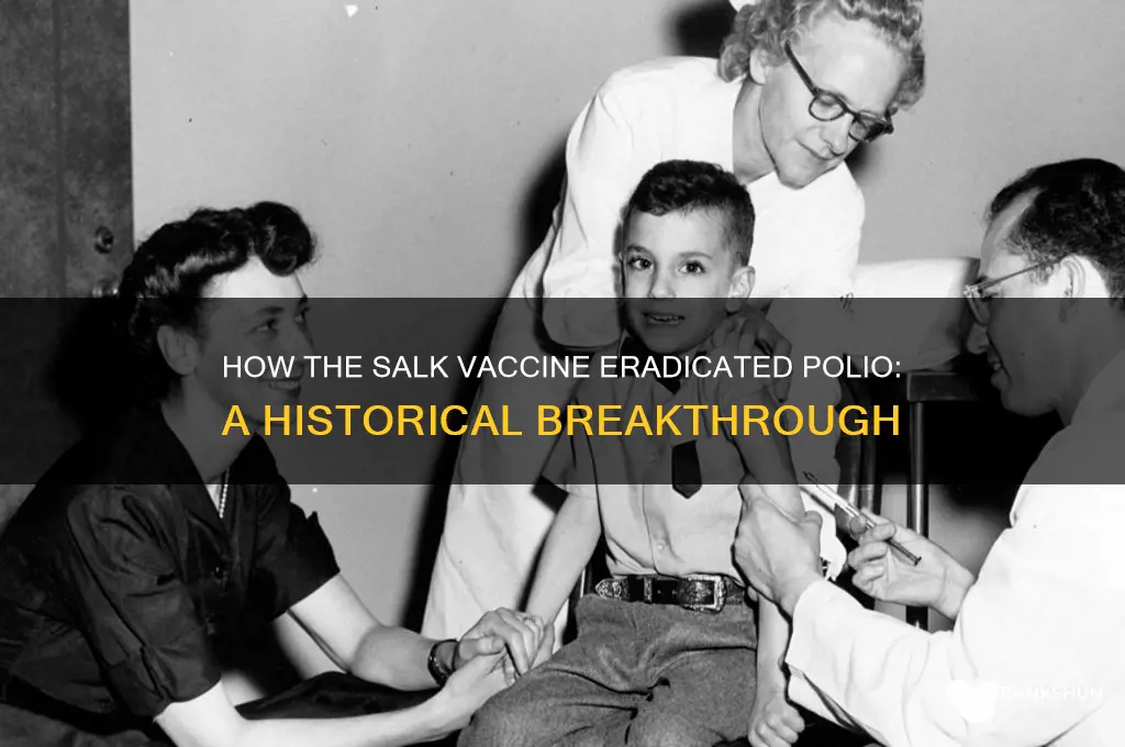 what did the salk vaccine help prevent