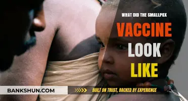 Unveiling the Smallpox Vaccine: Its Appearance and Historical Impact