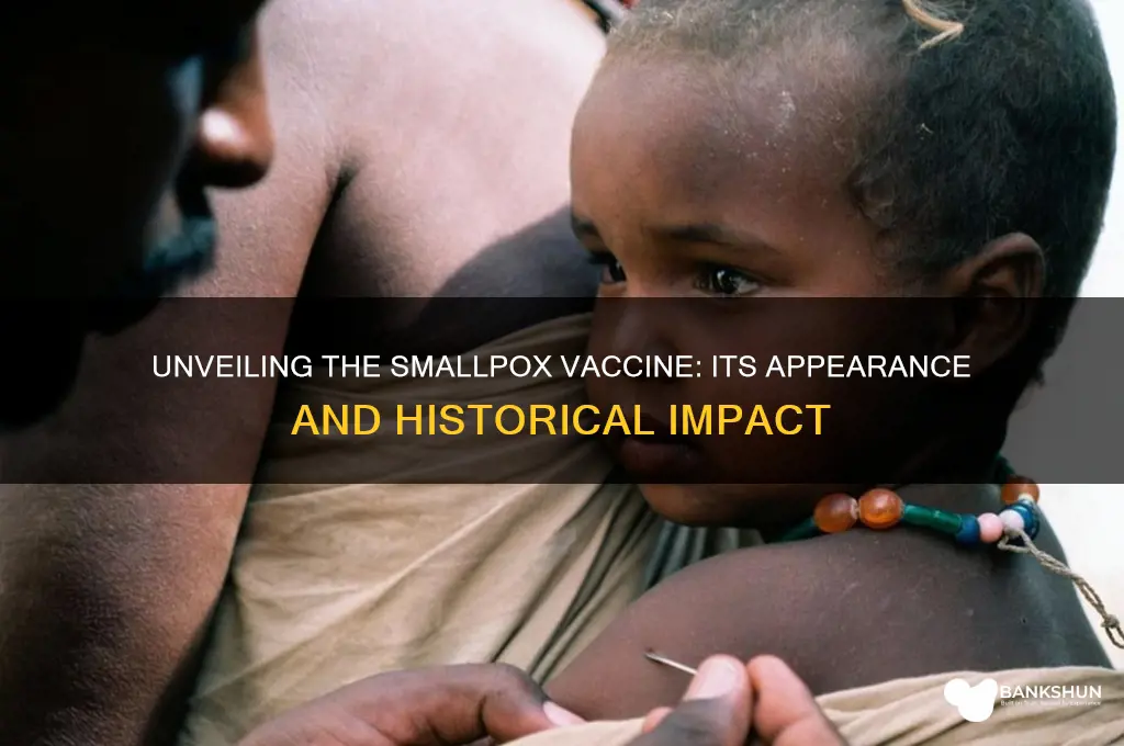 what did the smallpox vaccine look like