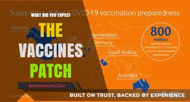 Vaccine Patches: Expectations vs. Reality – What Did You Expect?