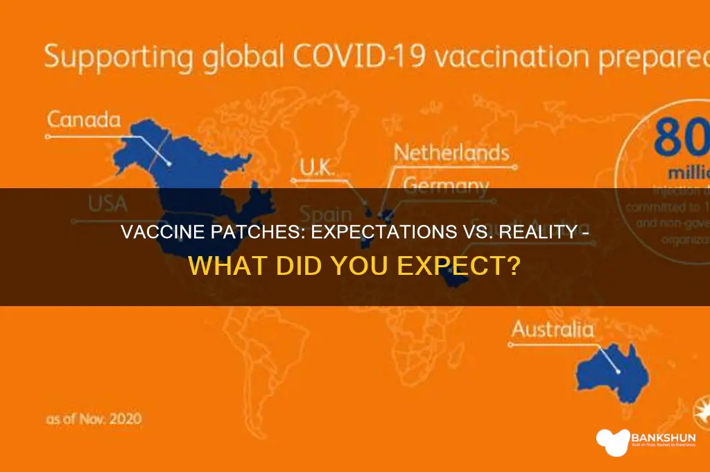 what did you expect the vaccines patch