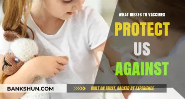Vaccines: Shielding Us from Deadly Diseases and Saving Lives