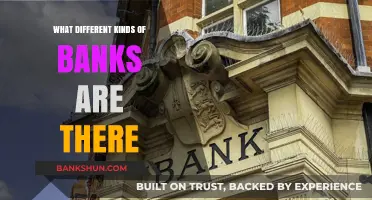 Exploring the Diverse World of Banking: Types and Functions