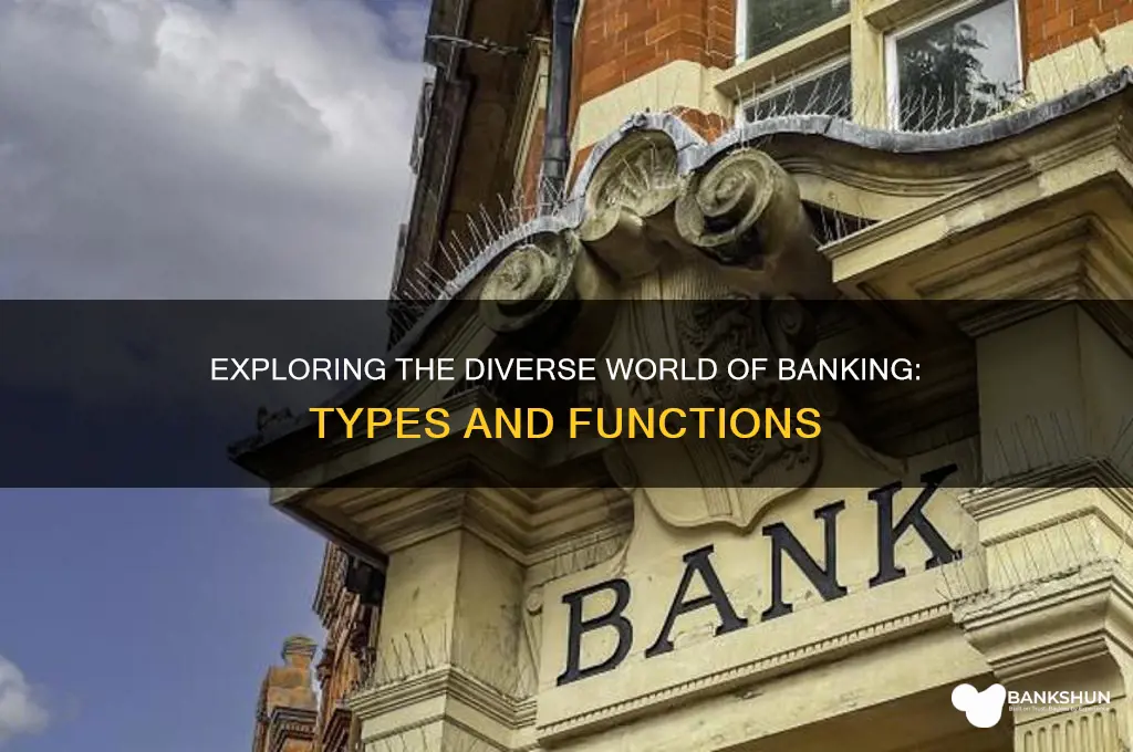 what different kinds of banks are there