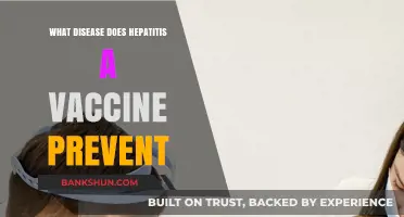Hepatitis A Vaccine: Shielding Against a Preventable Liver Disease