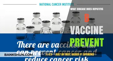 Hepatitis B Vaccine: Shielding Against Chronic Liver Disease and Cancer