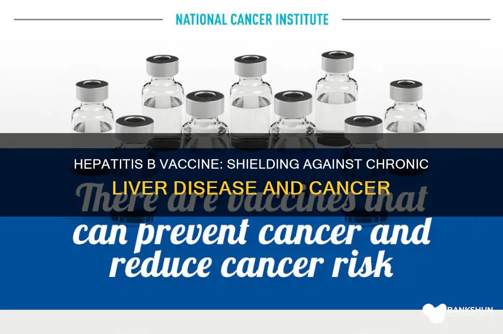 what disease does hepatitis b vaccine prevent