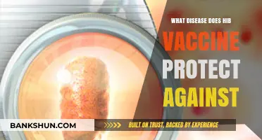 Understanding Hib Vaccine: Protection Against Haemophilus Influenzae Type B Infections
